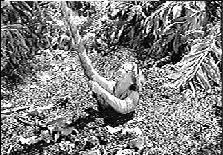 Tarzan`S Hidden Jungle [1955]